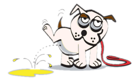 dog-pee